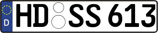 HD-SS613