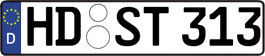 HD-ST313