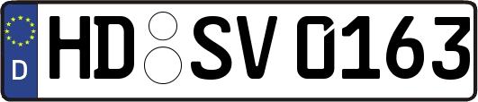 HD-SV0163