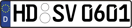 HD-SV0601