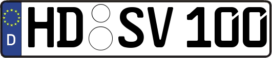 HD-SV100