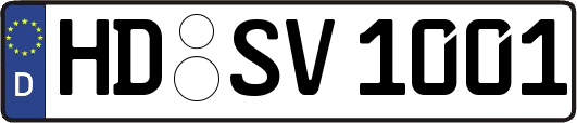 HD-SV1001