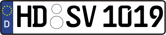 HD-SV1019