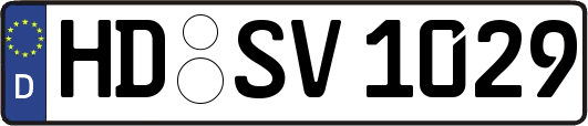 HD-SV1029