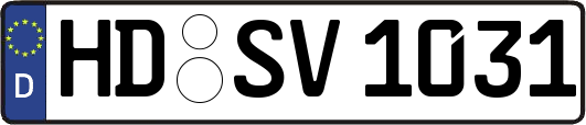 HD-SV1031