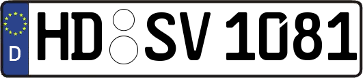 HD-SV1081