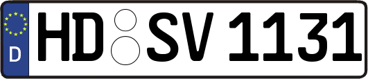 HD-SV1131