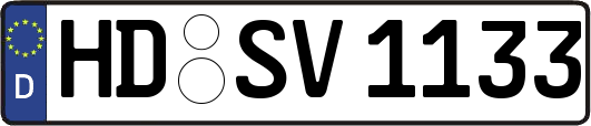 HD-SV1133