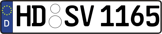HD-SV1165