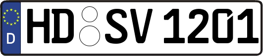 HD-SV1201