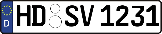 HD-SV1231