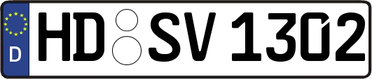 HD-SV1302