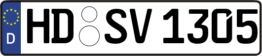 HD-SV1305