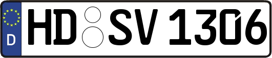 HD-SV1306