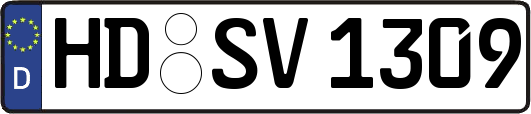 HD-SV1309