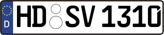 HD-SV1310