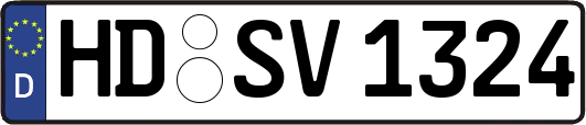 HD-SV1324