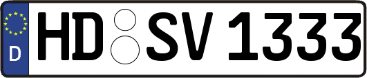 HD-SV1333