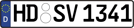 HD-SV1341