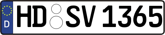 HD-SV1365