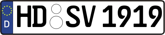 HD-SV1919