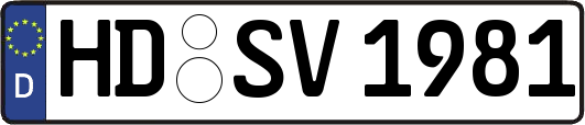 HD-SV1981