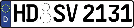 HD-SV2131