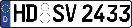 HD-SV2433