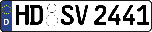 HD-SV2441