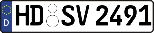 HD-SV2491