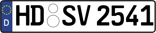 HD-SV2541