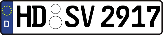 HD-SV2917