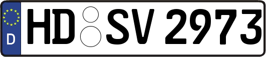 HD-SV2973