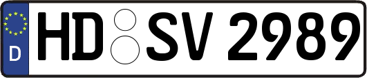 HD-SV2989
