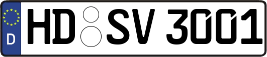 HD-SV3001