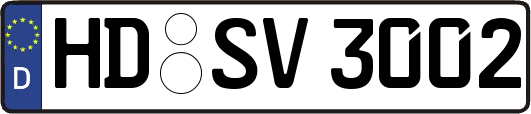 HD-SV3002