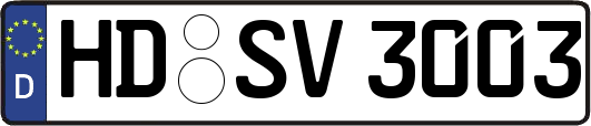 HD-SV3003