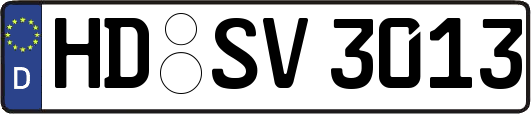 HD-SV3013