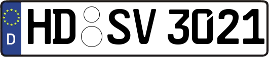 HD-SV3021
