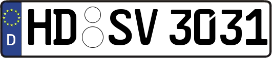 HD-SV3031
