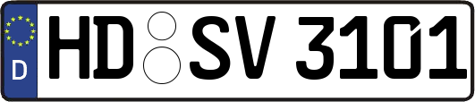 HD-SV3101