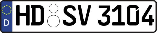 HD-SV3104