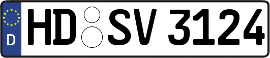 HD-SV3124