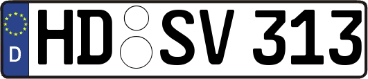 HD-SV313