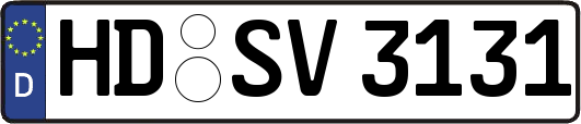 HD-SV3131