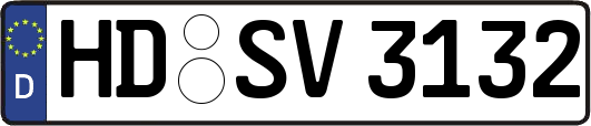 HD-SV3132