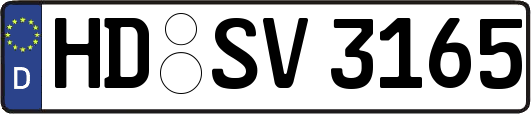 HD-SV3165