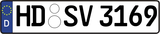 HD-SV3169