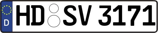HD-SV3171