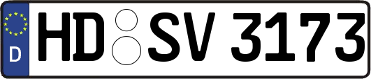 HD-SV3173